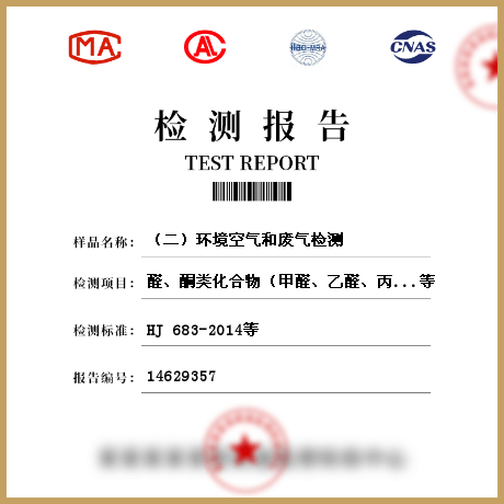(二)環(huán)境空氣和廢氣檢測(cè)